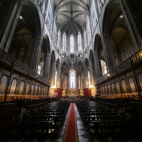 La cattedrale di Narbona, un progetto ambizioso