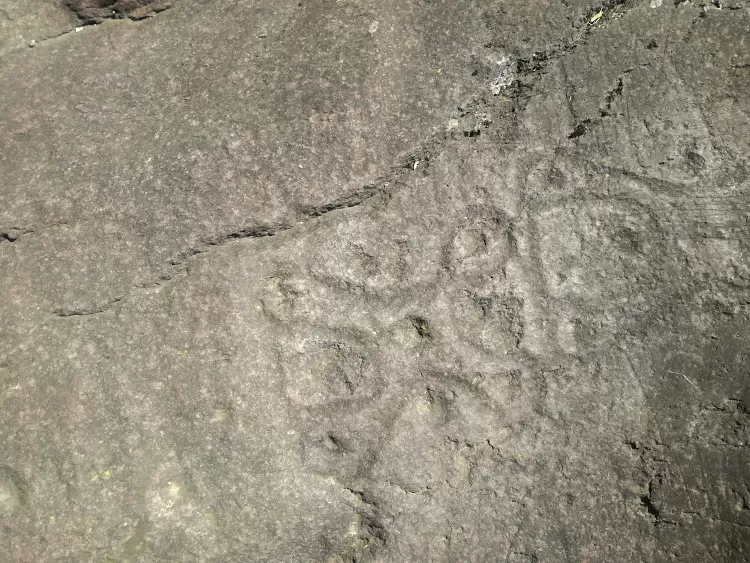 Rose camune Darfo Boario, incisioni rupestri della Val Camonica
